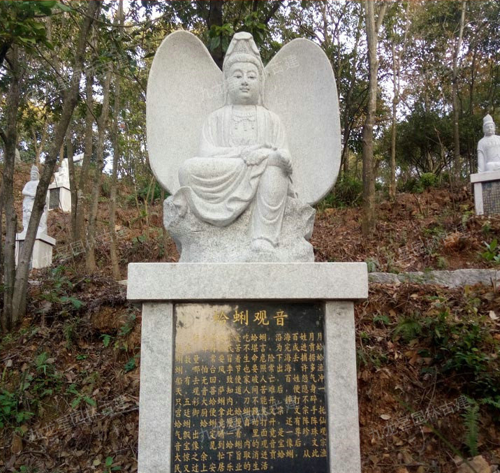 image.